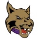New York University