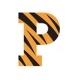 Princeton-University