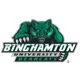 Binghamton-University